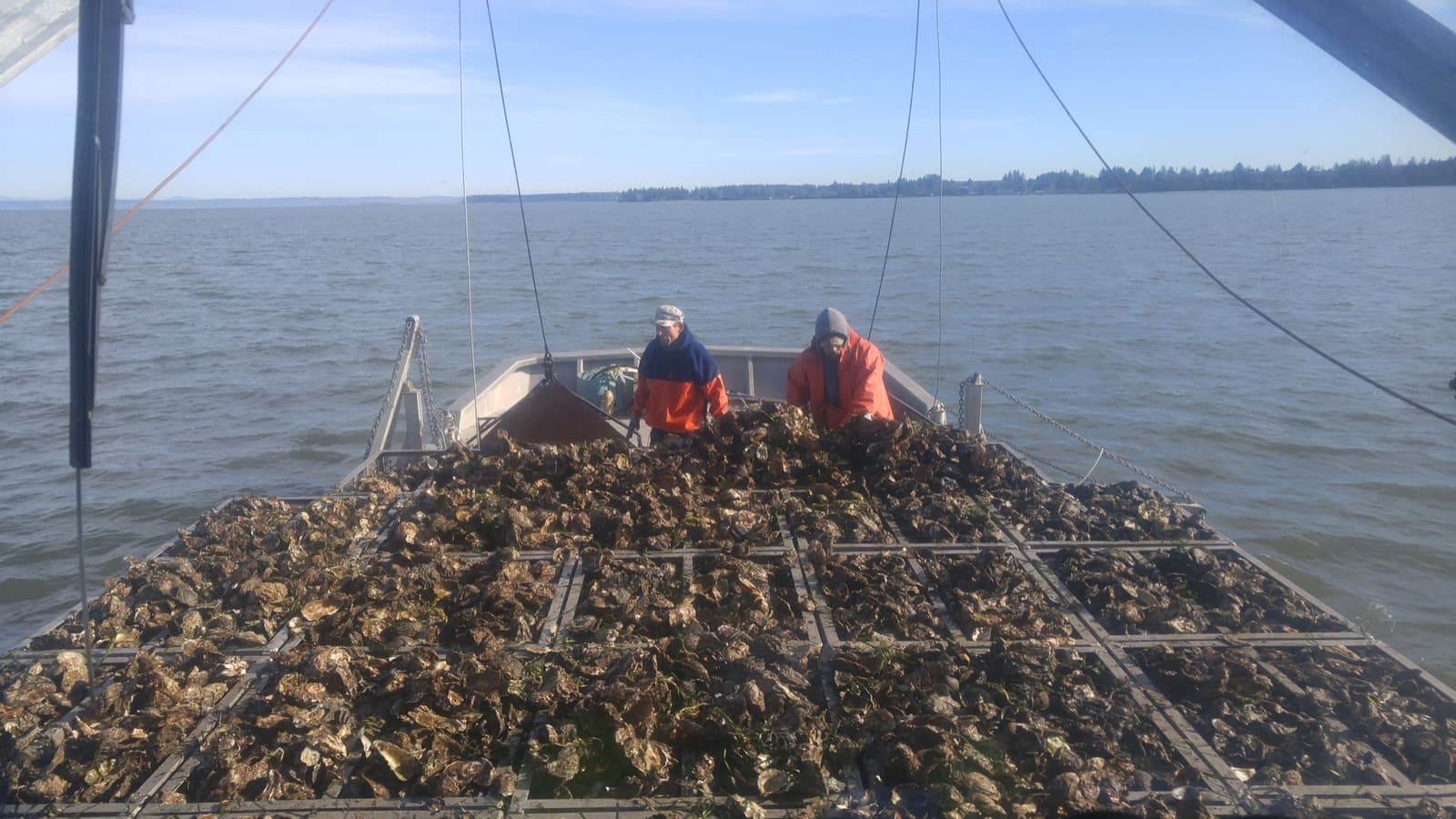 Lytle Seafoods Oyster Shack: The Best Day Trip from Seabrook
