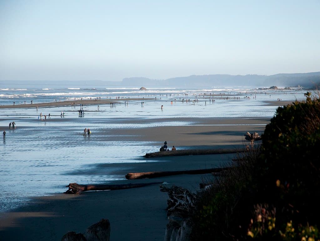 Razor Clamming at Seabrook Beach: What You Need to Know